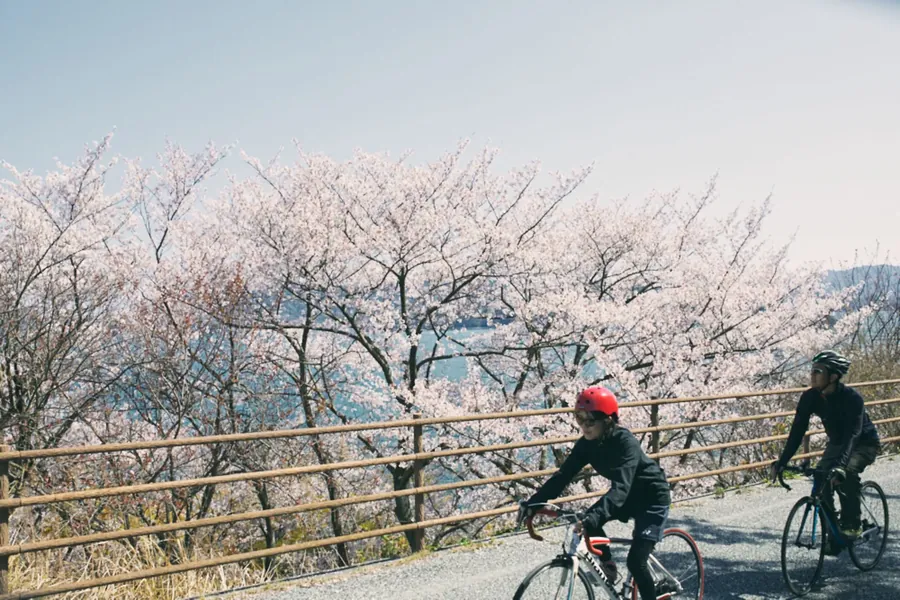 WAKKA サイクリング