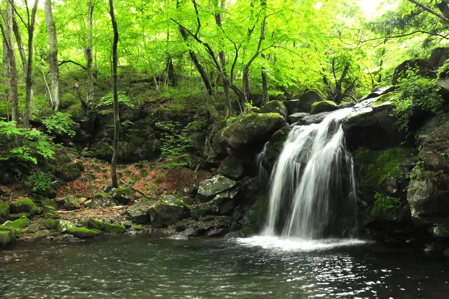 58LOHASCLUB 県民の森