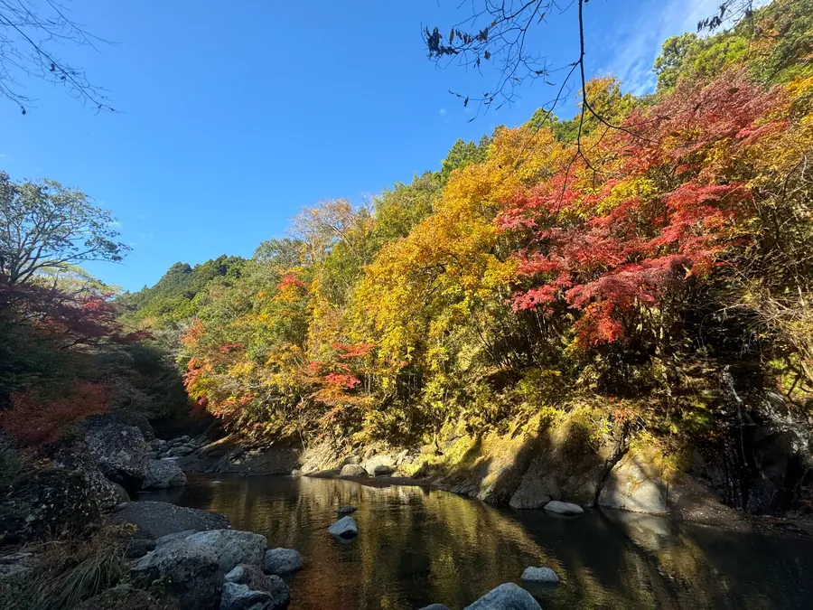 山水徳間の里 福士川渓谷
