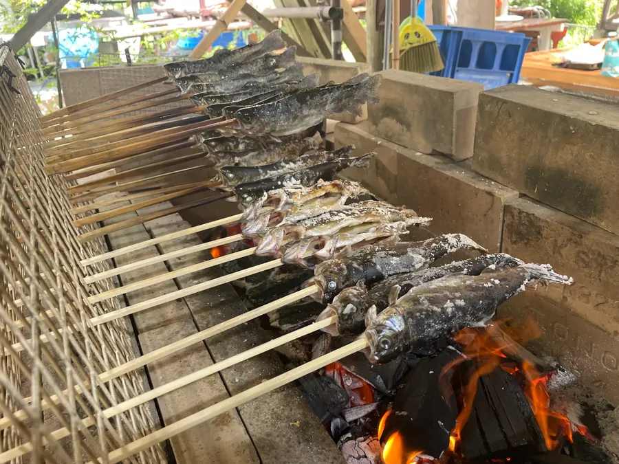 山水徳間の里 ニジマスの炭火焼き